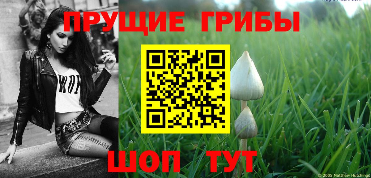 Галлюциногенные грибы мухоморы Елец