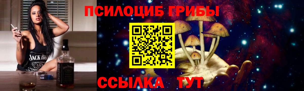 Псилоцибиновые грибы Psilocybe  Вход с VPN  Галлюциногенные грибы прущие грибы  Елец 